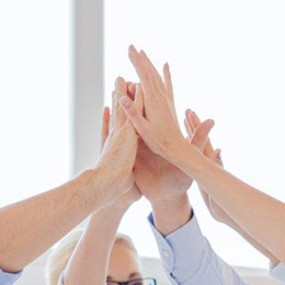 �����²ż��Ĺ���F�